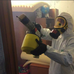 Уничтожение клопов в квартире. Горьковская